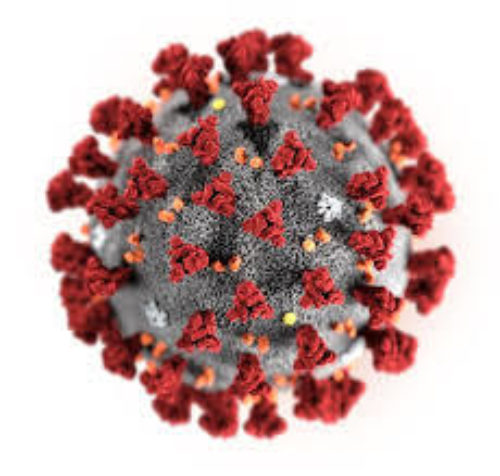 Coronavirus: continuïteit en maatregelen